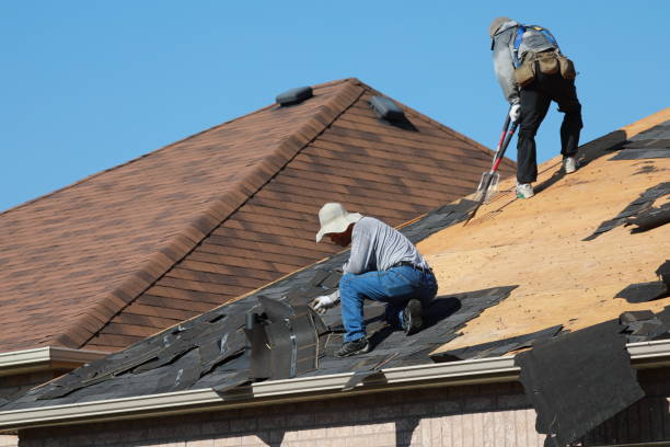 Best Skylight Installation and Repair  in Puget Island, WA